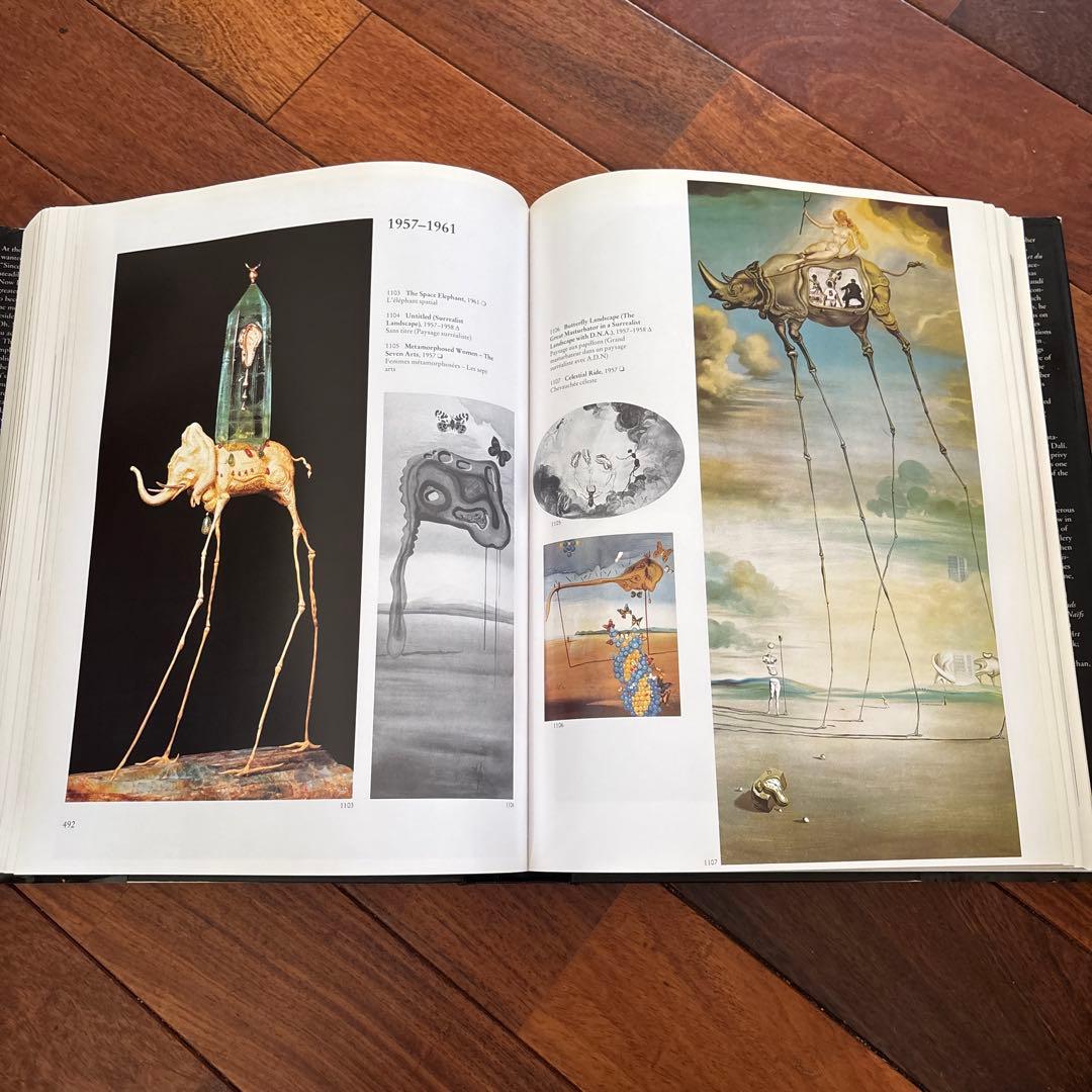 DALÍ The Paintings DALI ダリ全集 希少 英語版