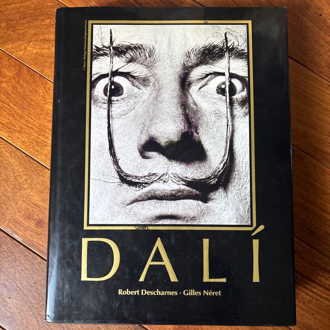 DALÍ The Paintings DALI ダリ全集 希少 英語版