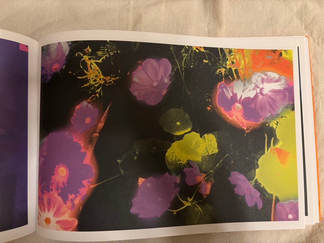 アート・デザイン・音楽 Annelies Strba: My Life's Dreams