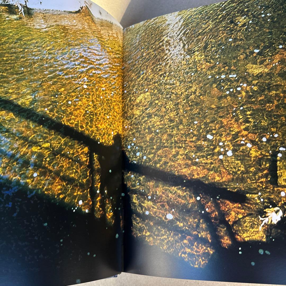 悪魔の遊び場 ナン・ゴールディン PHAIDON