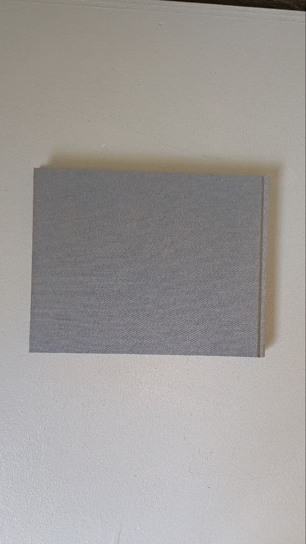 森山大道『bye-bye polaroid