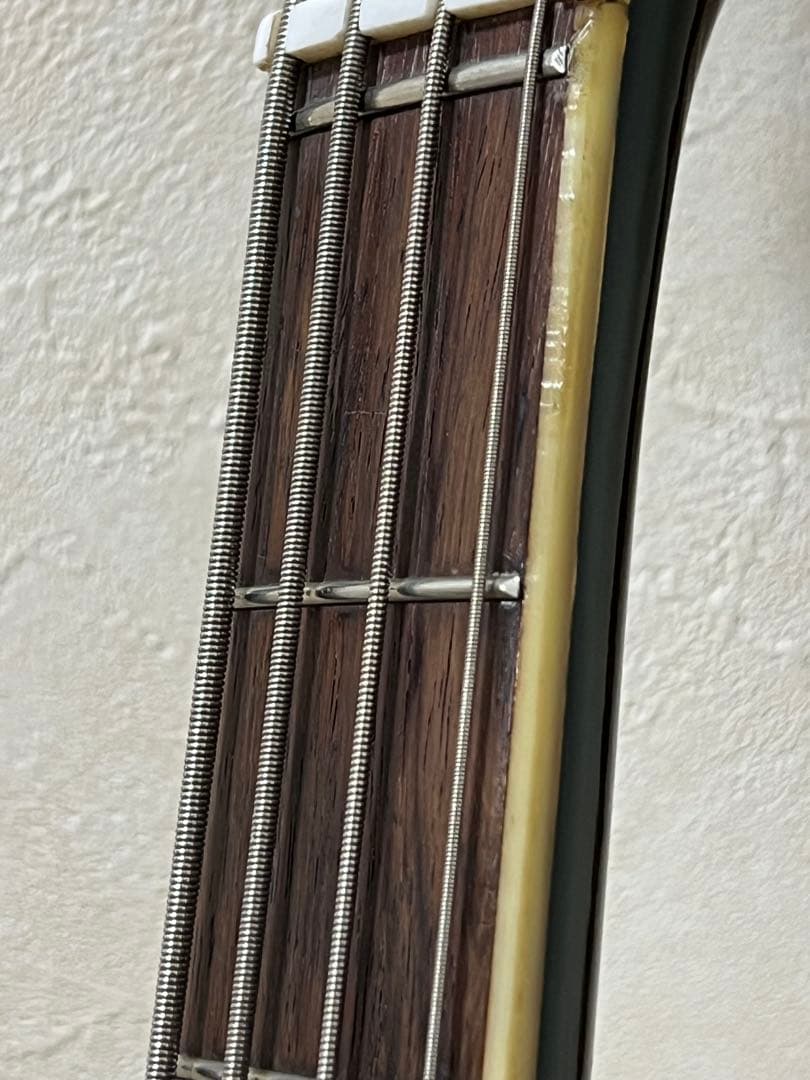 Burns AG-4？ エレキベース ダークグリーン