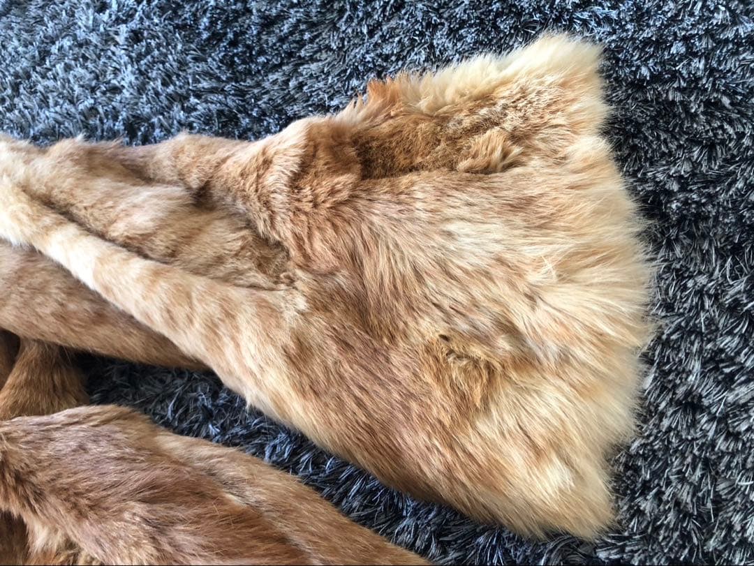 【希少】EMBA ミンク　ロングコート　毛皮　ファー　ミンクコート 11号