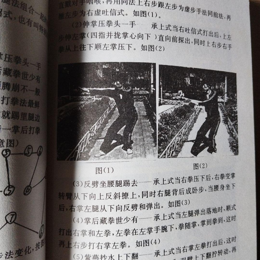 白猿通背拳 中国武術