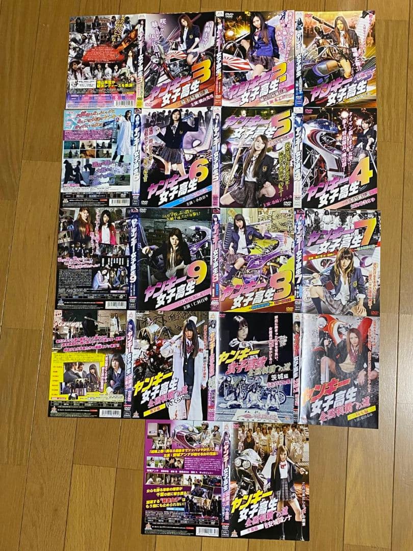 ヤンキー女子高生 全9巻セットとヤンキー女子高生全国制覇への道 全4巻 計13枚