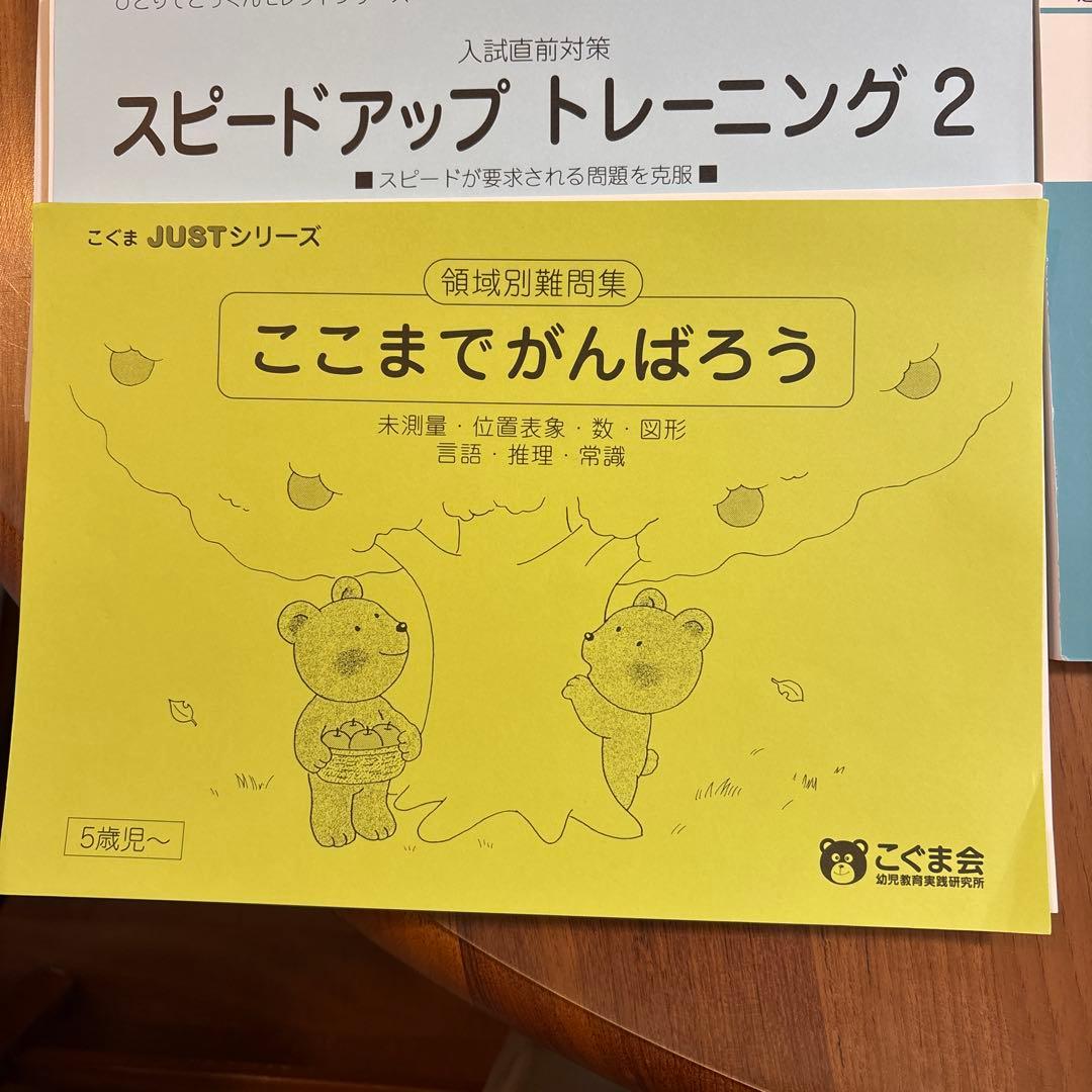 こぐま会　トレーニング　領域別