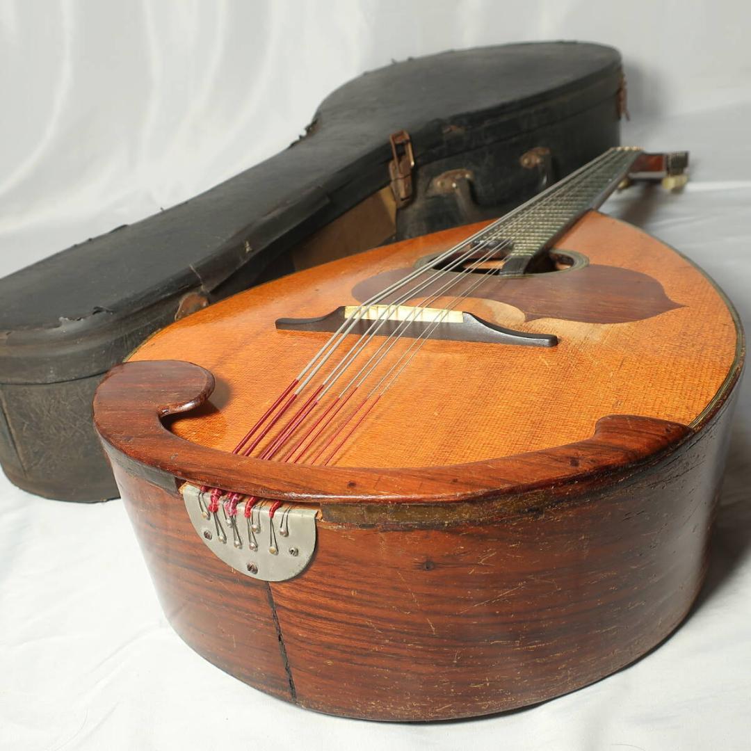 S.Watanabe マンドチェロ 1966年製 ハードケース付 フラットバック