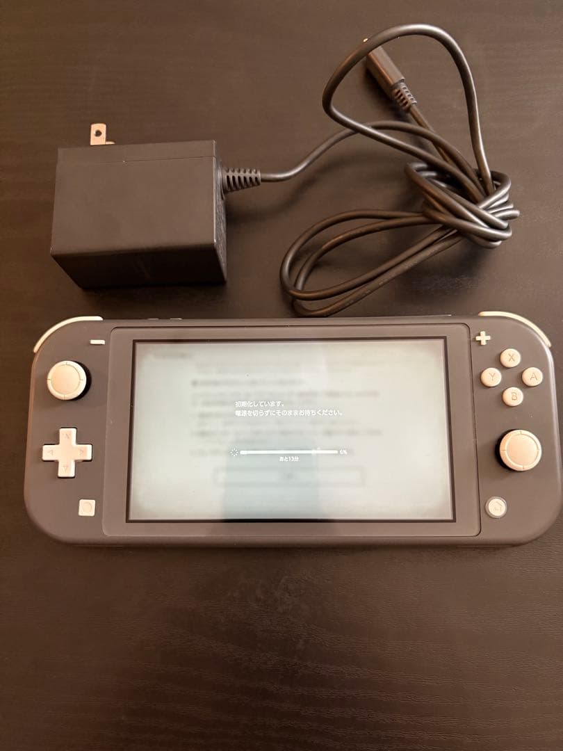 ぜ*菜様 Switchライト　グレー　充電器付き