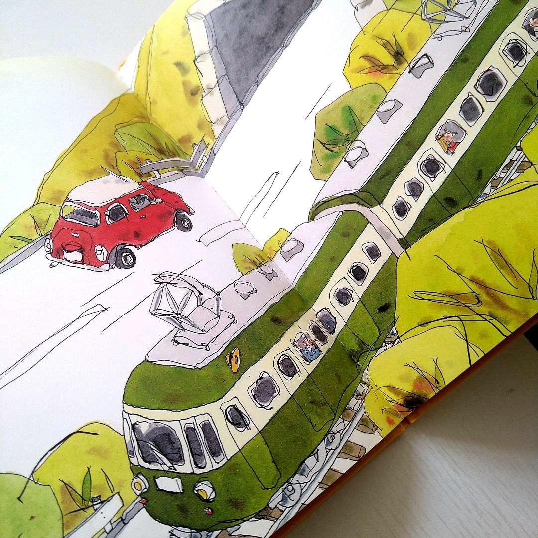 【 ピカン様おまとめページ】