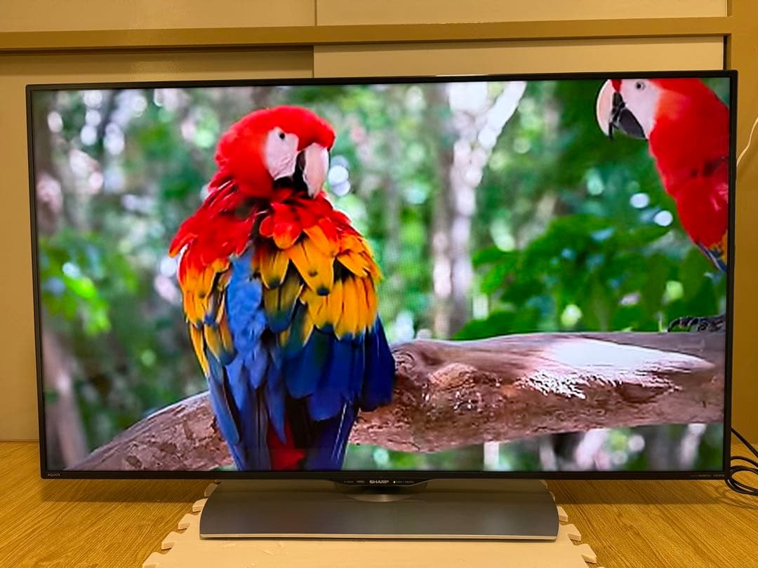 シャープ LC-50U40 50型 2016年製⭕️ 4K液晶ネットサ可能テレビ