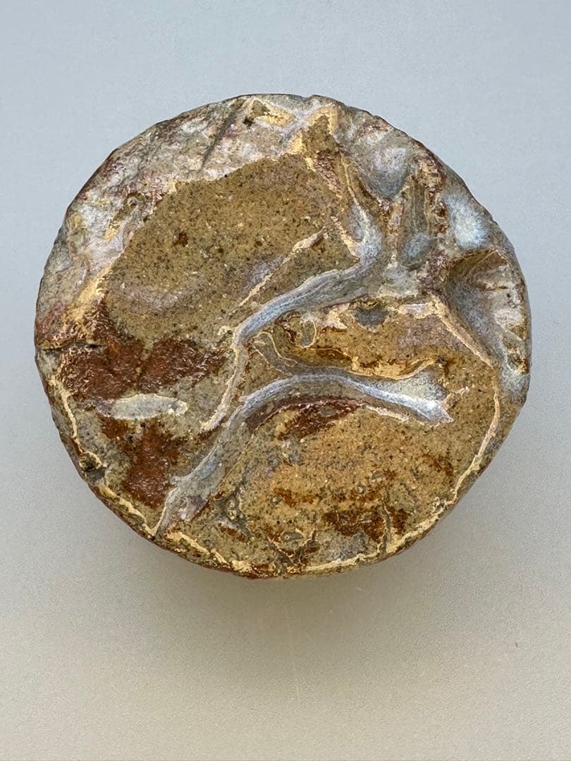 茶道具　香合　須田菁華　鹿香合