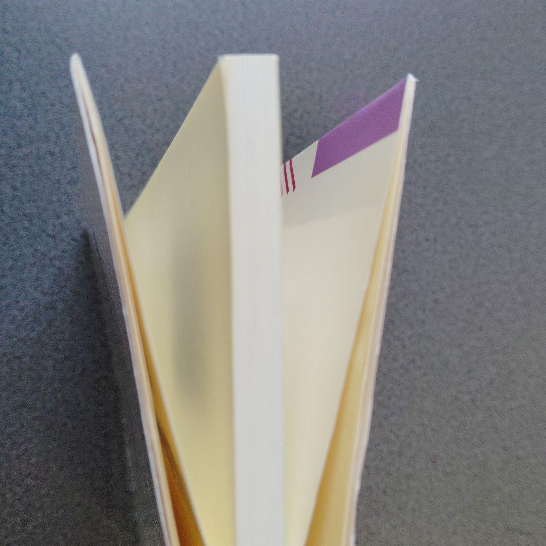 奥井の英文読解 3つの物語・分析と鑑賞　奥井潔　駿台文庫　英語長文　英文解釈