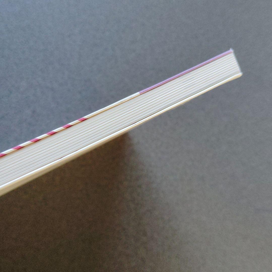 奥井の英文読解 3つの物語・分析と鑑賞　奥井潔　駿台文庫　英語長文　英文解釈