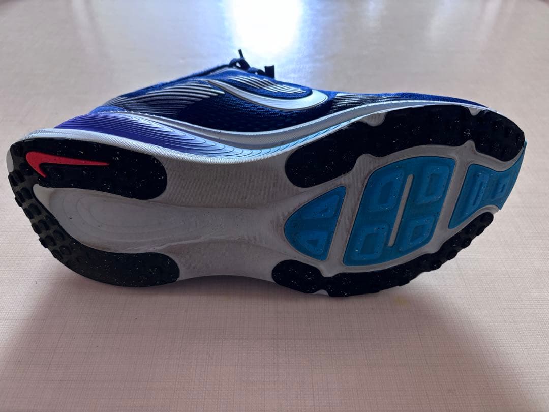 【Wilier8008 】Nike ポメロ18 ランニングシューズ