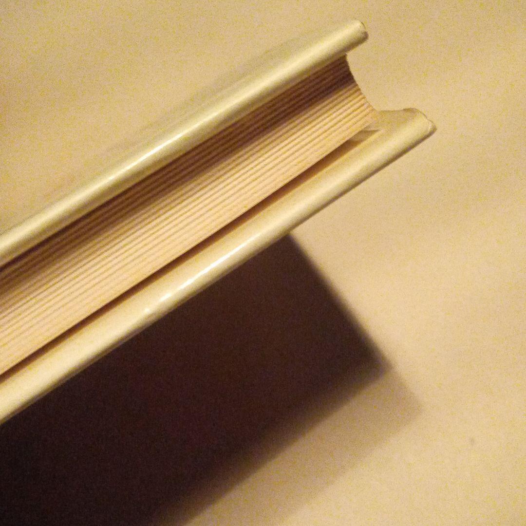 希少　時事　経済ドイツ語の入門　入手困難