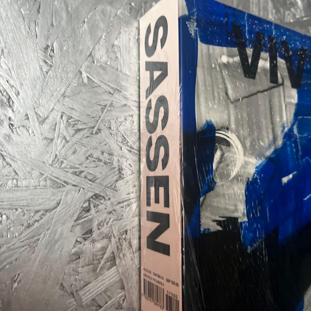 VIVIANE SASSEN Phosphor 英語版 アートブック 未開封