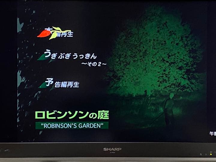 ロビンソンの庭 DVD