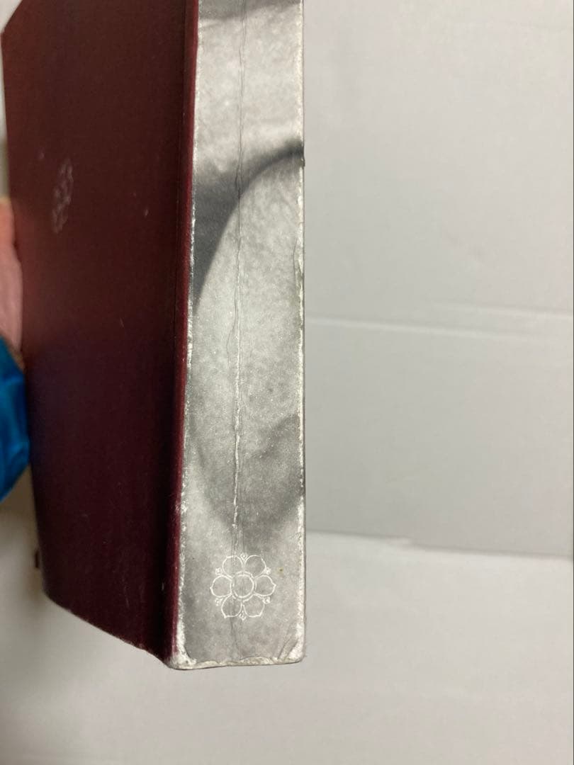 MYSORE STYLE アシュタンガヨガ Ashtangayoga 写真集