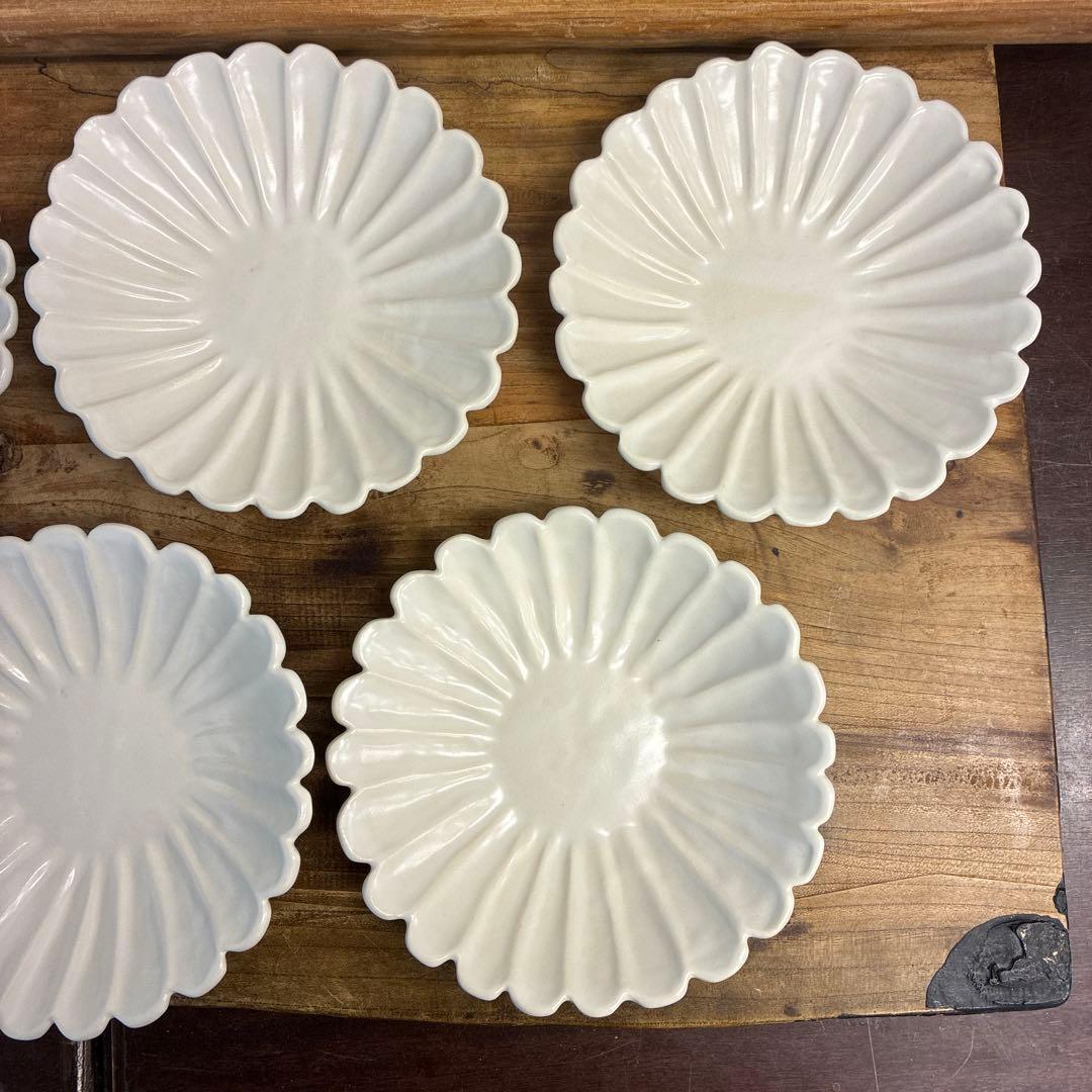 ちゃーさん新品　陶器　陶芸作家　輪花皿8枚　555