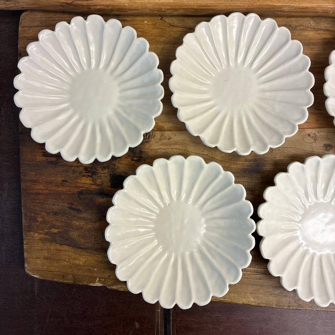 ちゃーさん新品　陶器　陶芸作家　輪花皿8枚　555