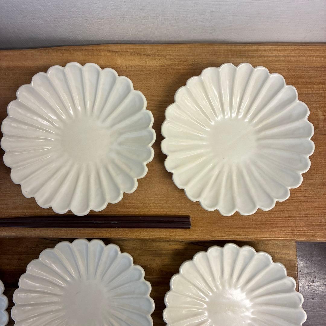 ちゃーさん新品　陶器　陶芸作家　輪花皿8枚　555