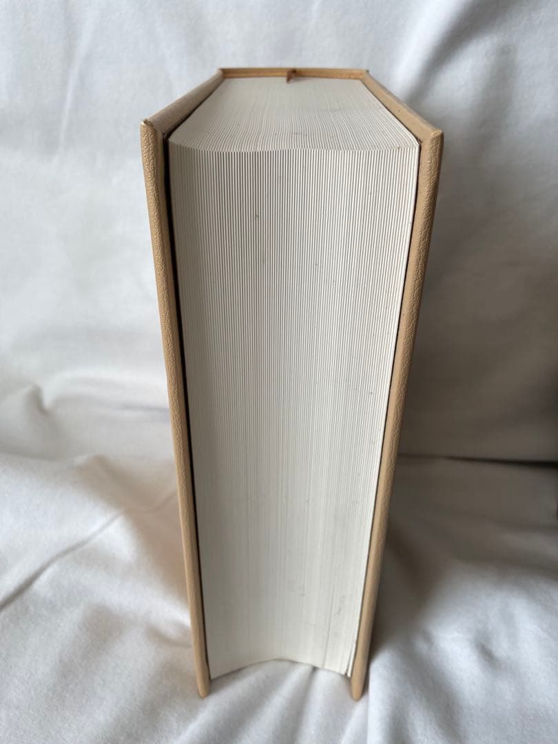 旧約聖書 ヘブル語大辞典 改訂第2版