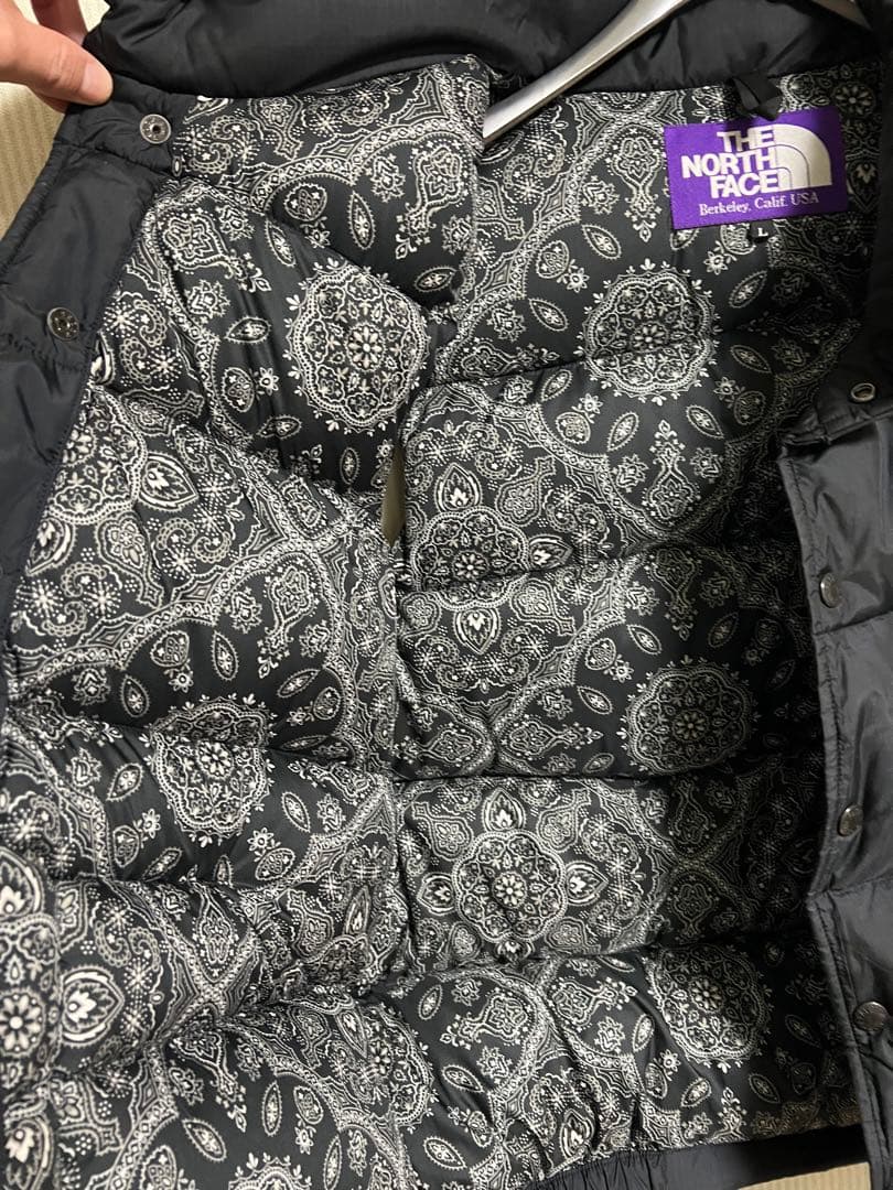 【希少】THE NORTH FACE ダウンベスト L 黒　裏地ペイズリー