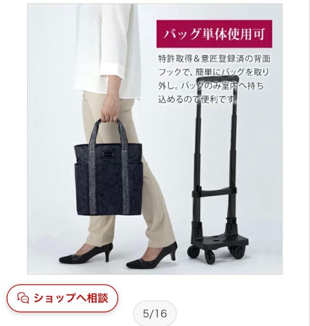 SWANY ペイズリー柄 ブラックキャリーTS15 ブラック 未使用に近い