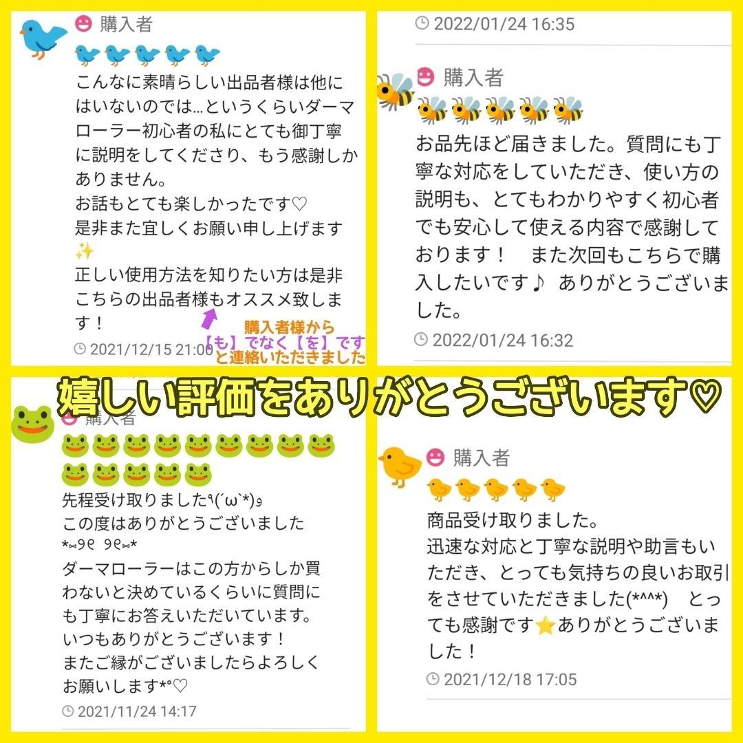 【匿名配送】ダーマローラー 0.75mm4本 & 0.3mm1本【本数変更可能】