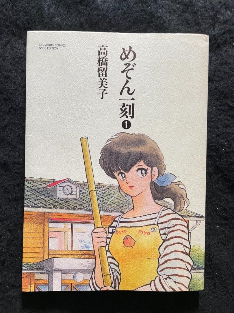 めぞん一刻　高橋留美子　ワイド版　全10巻セット