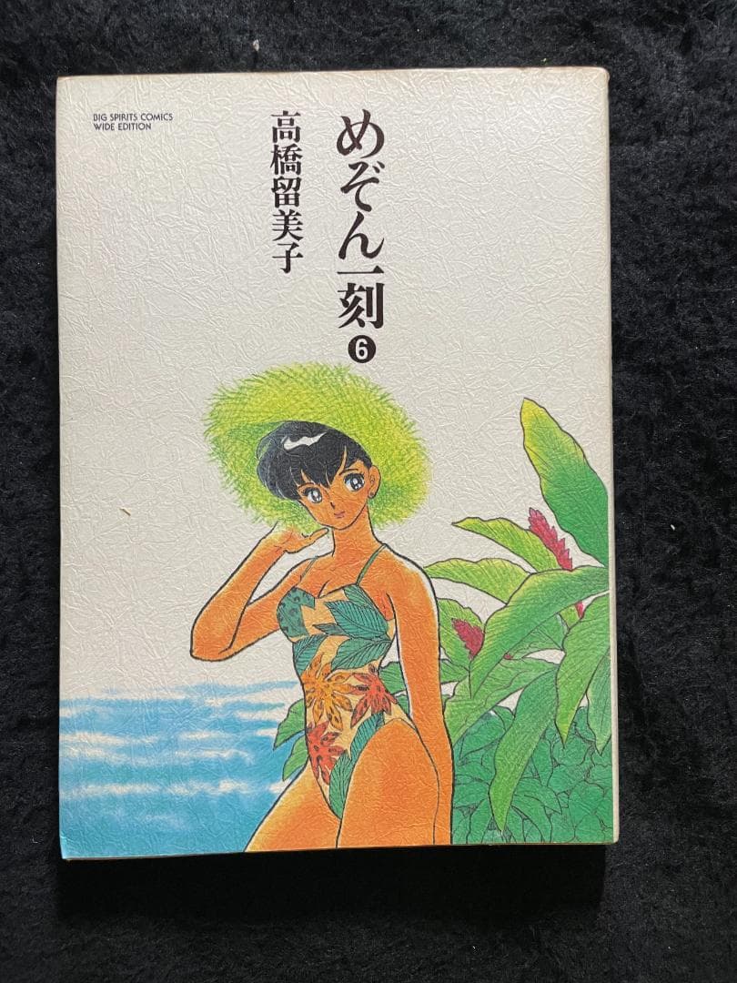 めぞん一刻　高橋留美子　ワイド版　全10巻セット