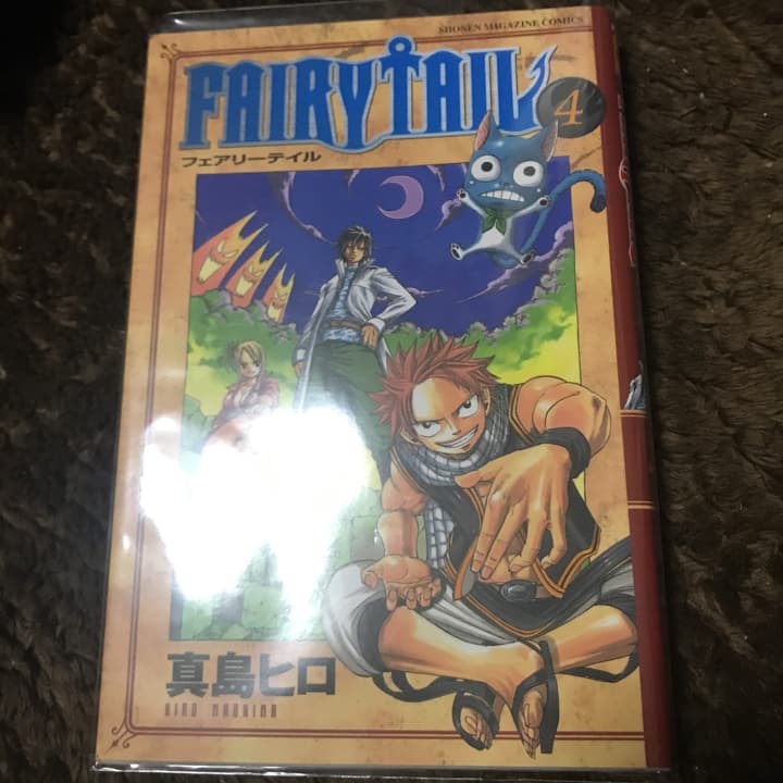 Fairy tail 4/真島 ヒロ