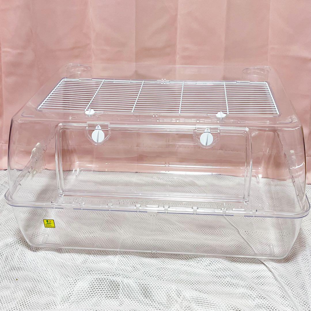 ルーミィ60 セット