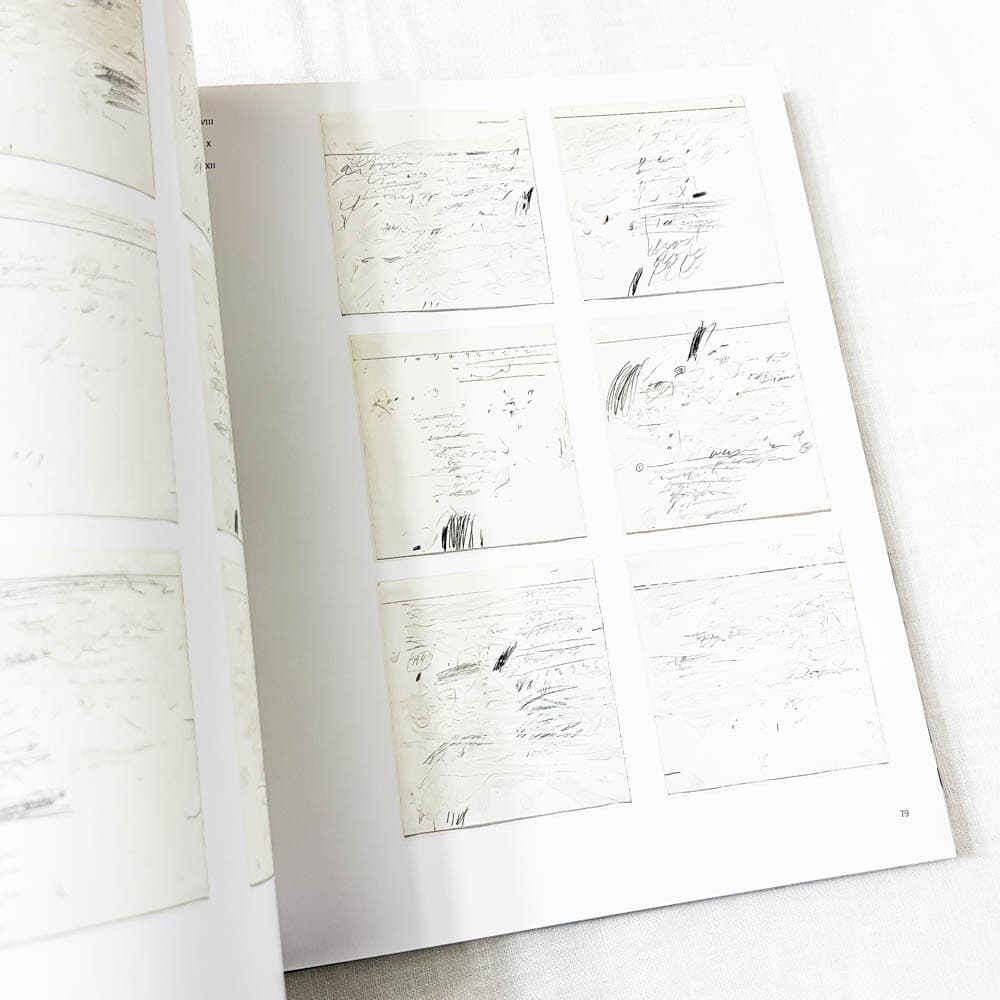 Cy Twombly Cycles and Seasons 画集.