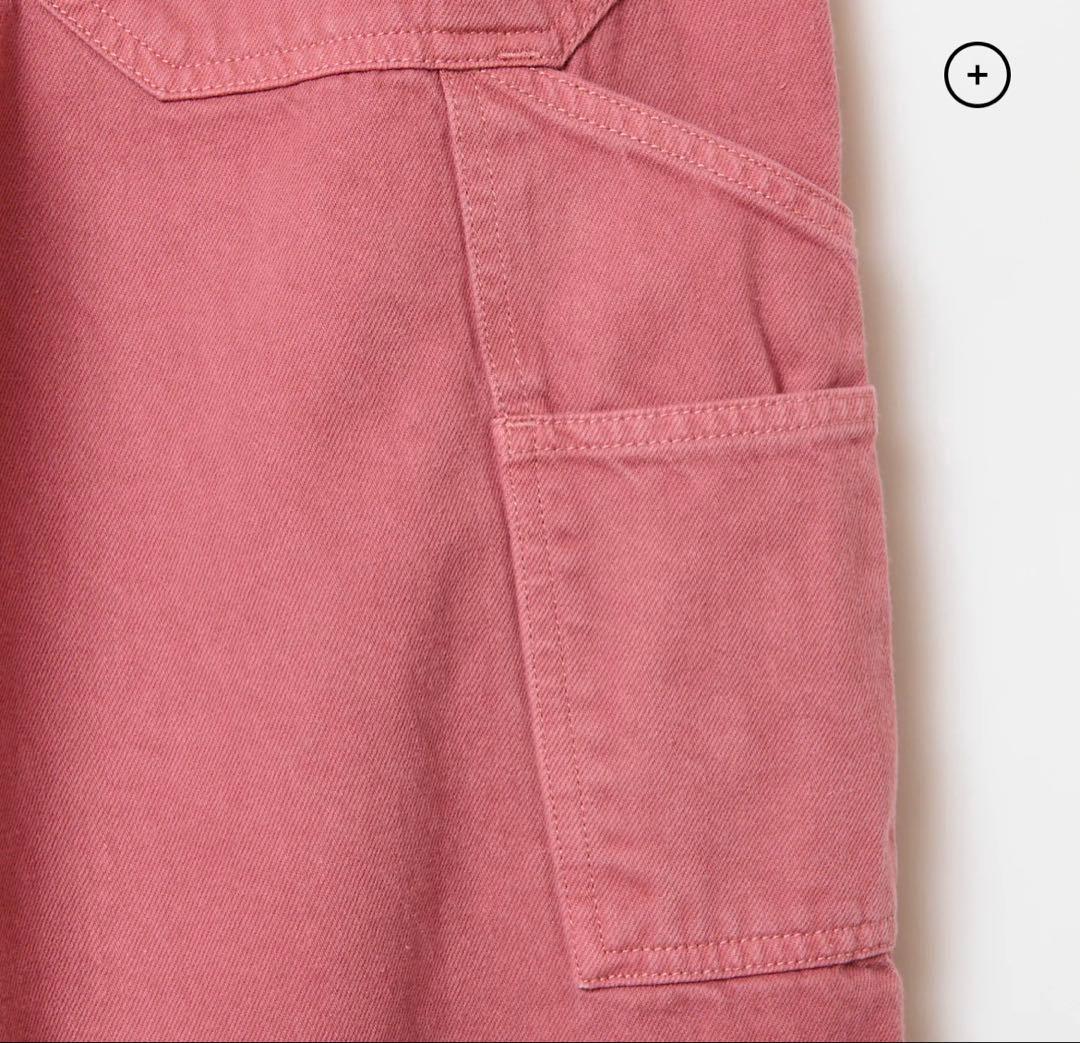 【THE SHISHIKUI】 Painter pants / D.PINK