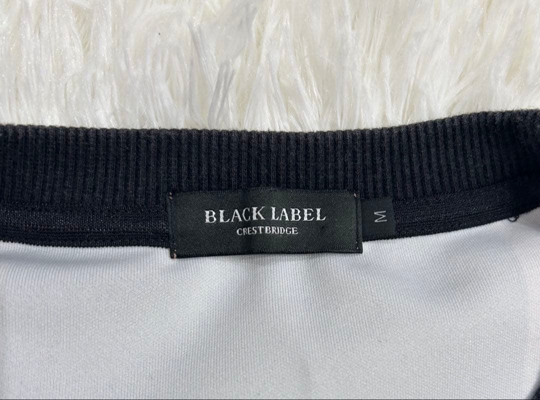 ブラックレーベル クレストブリッジ M カットソー チェック柄