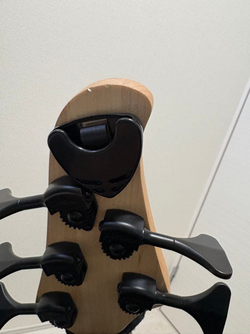 Dingwall D-Roc Standard 5弦