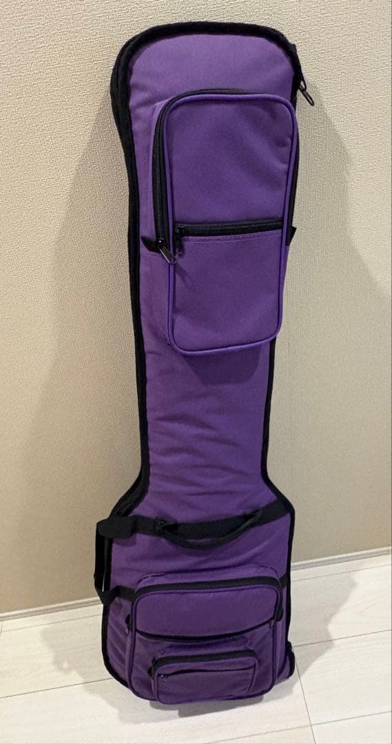 Dingwall D-Roc Standard 5弦