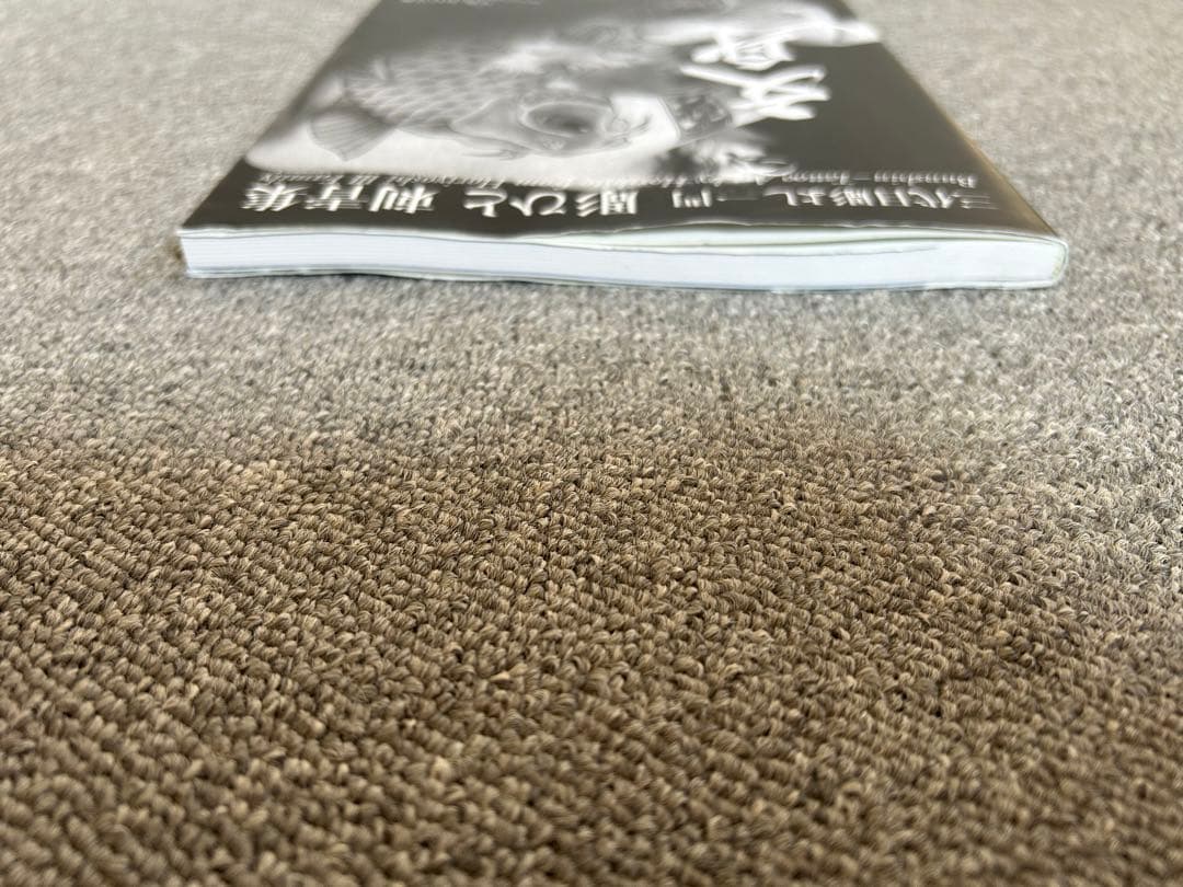 絶版 希少本 文身 - 三代目彫よし一門 彫ひと / 辰巳卓也 / タトゥー