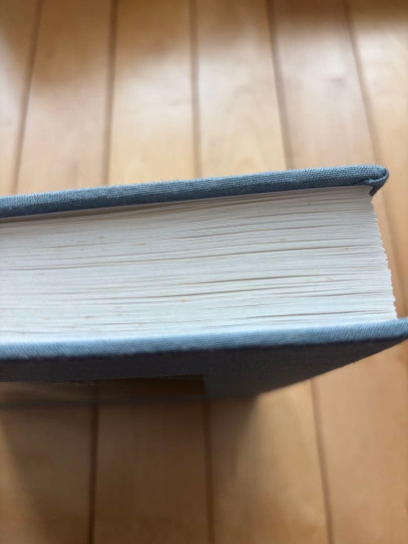 川内論子　写真集　画集　ILLUMINANCE