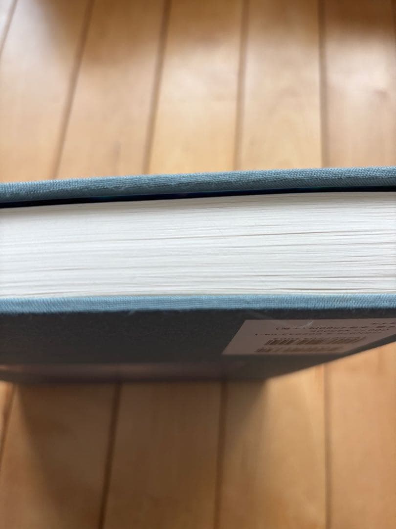 川内論子　写真集　画集　ILLUMINANCE