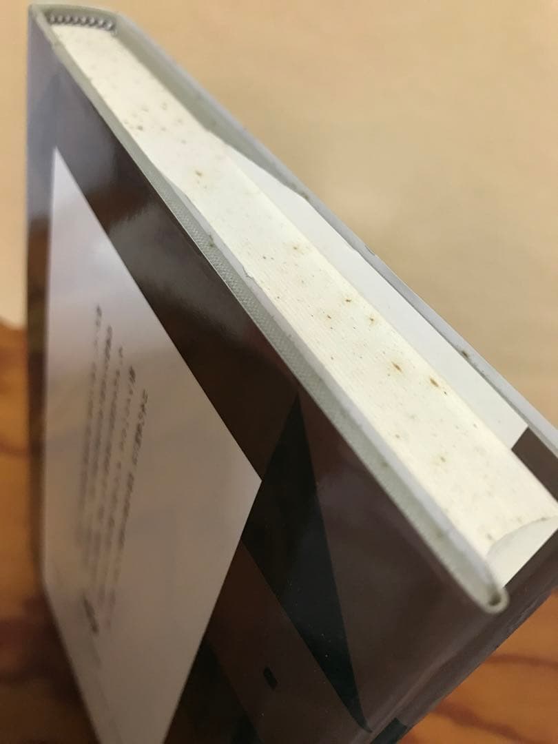 両墓制と他界観　日本歴史民俗叢書　新谷尚紀　初版第一刷　使用感無し本文良