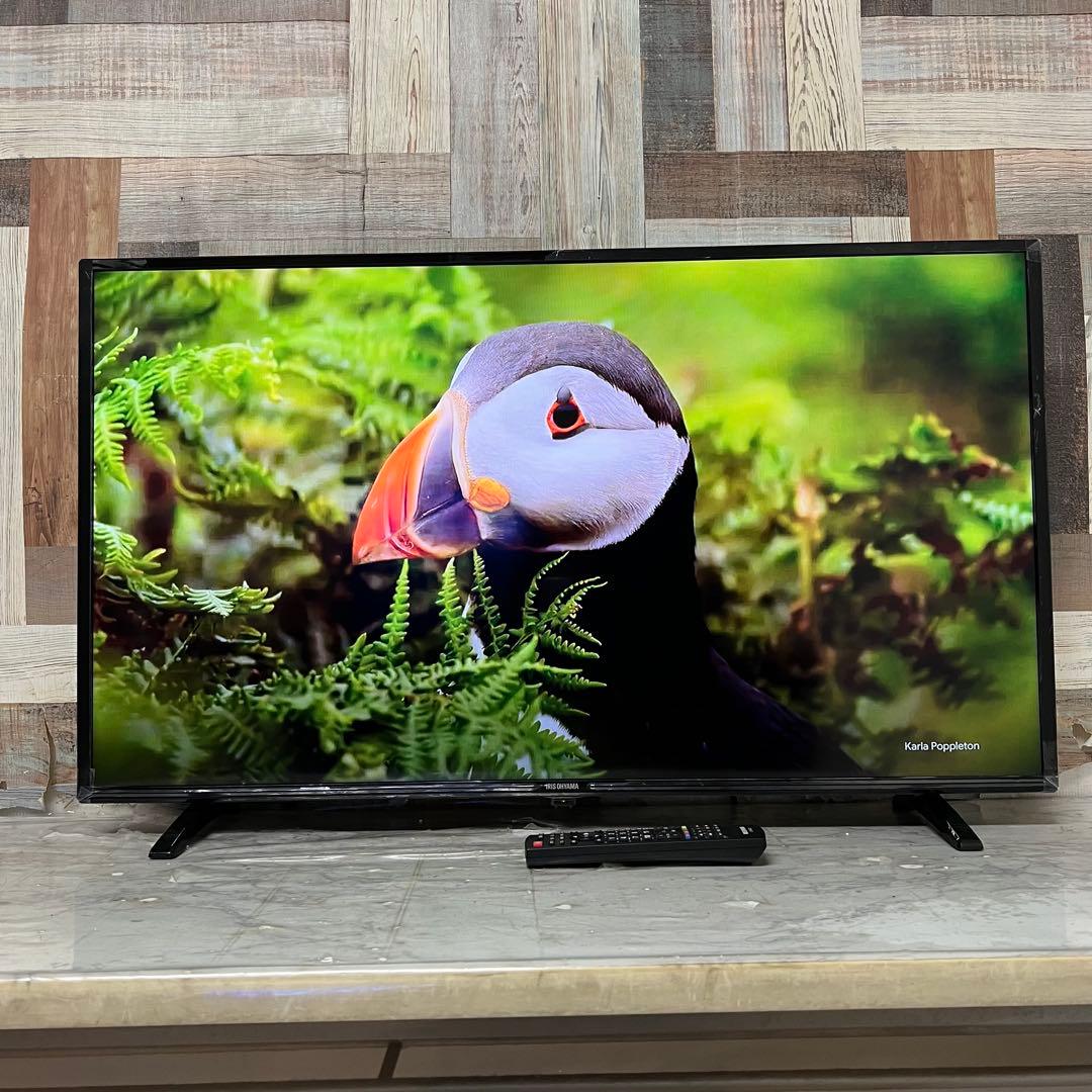 サナダさん専用アイリスオーヤマ40型液晶裏番組録画対応 外付HDD録画対