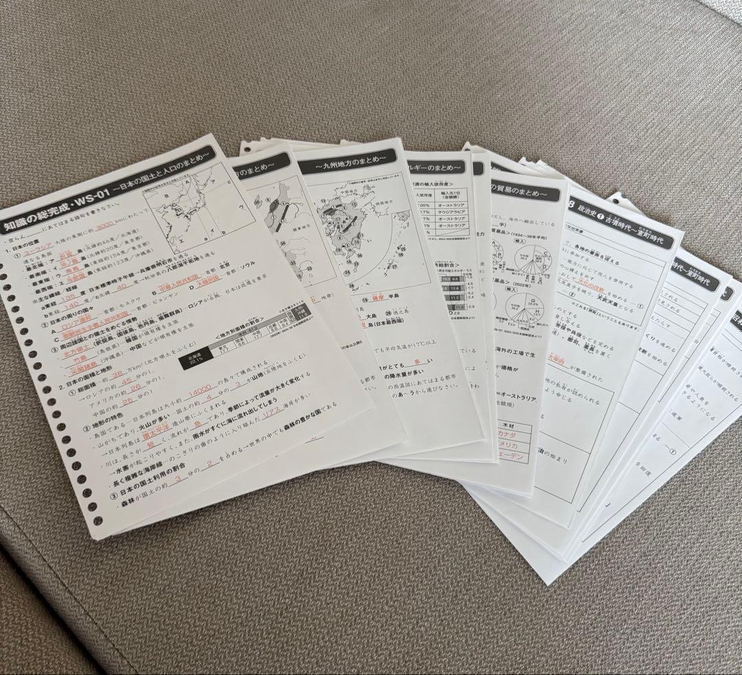 サピックス　知識の総完成　社会　6年生総まとめ　欠番なし