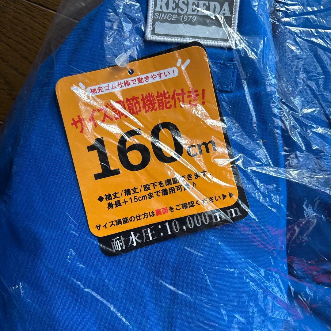 RESEDA スキーウェア 160cm 青