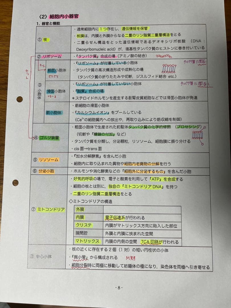 2026 DESデンタル　119回歯科医師国家試験コース 資料全て[裁断済]