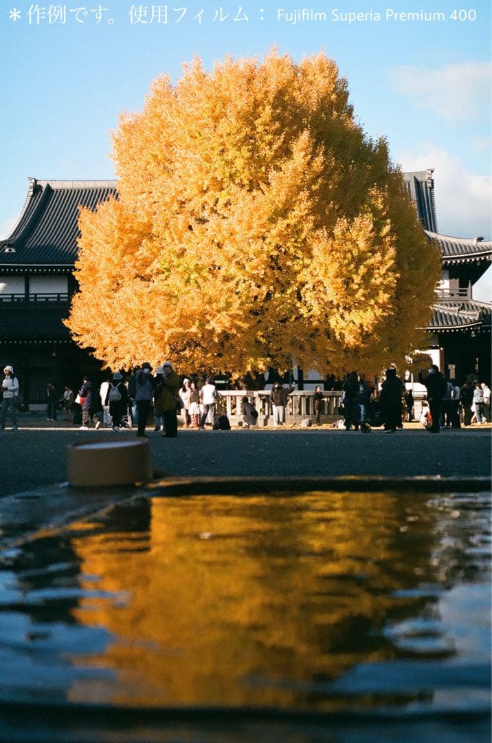 【美品】OLYMPUS OM-1 と標準レンズ50mm セット