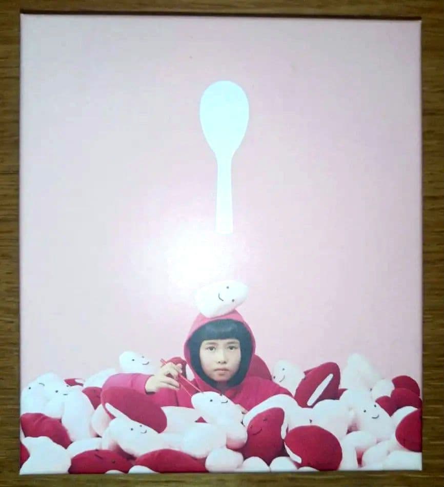 赤い公園 赤飯 初回生産限定盤 熱唱祭り盤 ライブDVD CD BEST ベスト