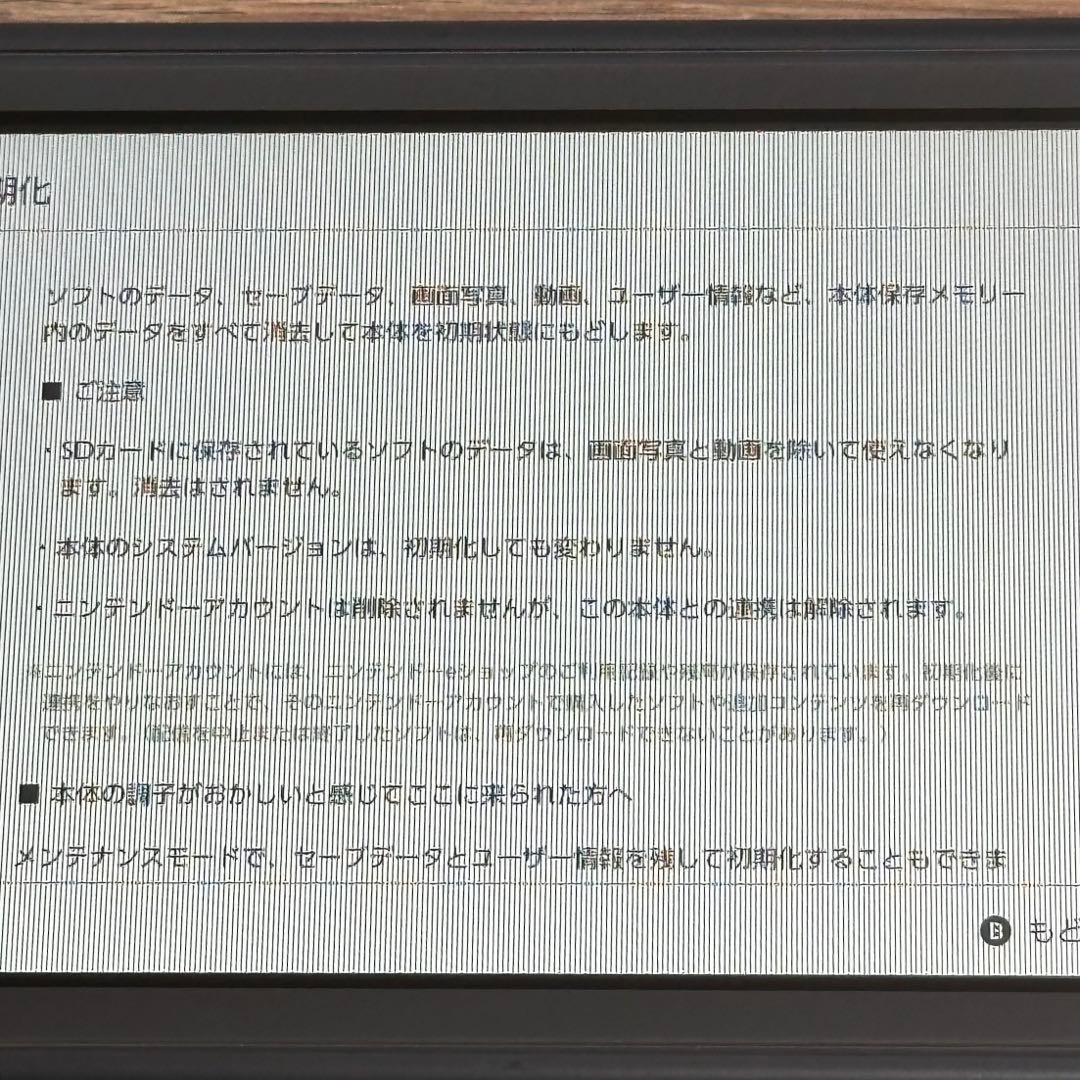 【液晶不良】Nintendo Switch Lite グレー【ジャンク】