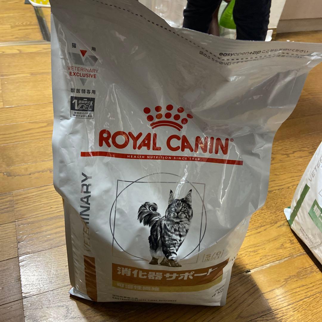 消化器サポート　ロイヤルカナン　4kg 猫